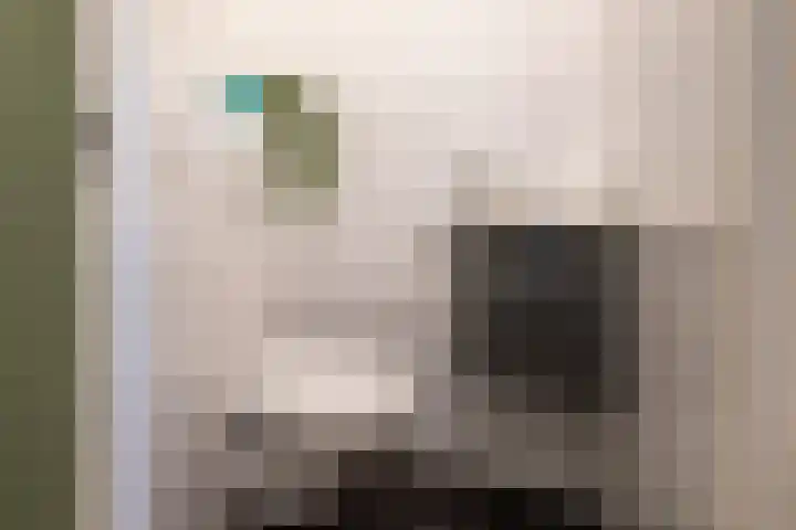 Rozenhof 120 Borne thumbnail 12