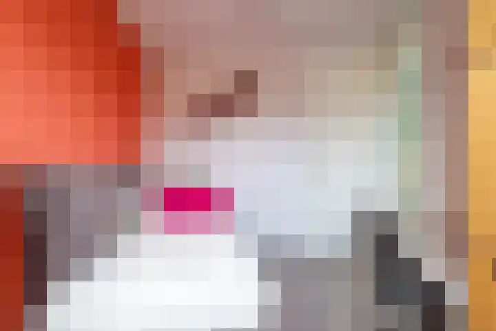 Rozenhof 120 Borne thumbnail 16