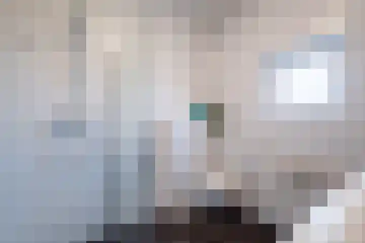 Rozenhof 120 Borne thumbnail 19