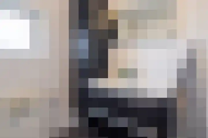 Rozenhof 120 Borne thumbnail 20