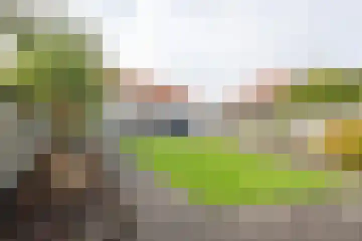 Rozenhof 120 Borne thumbnail 25