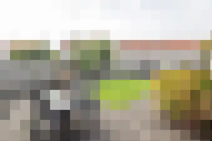 Rozenhof 120 Borne thumbnail 26