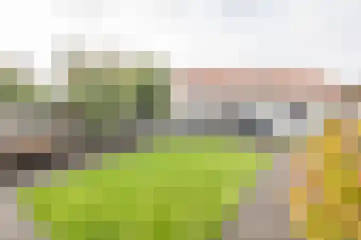 Rozenhof 120 Borne thumbnail 27