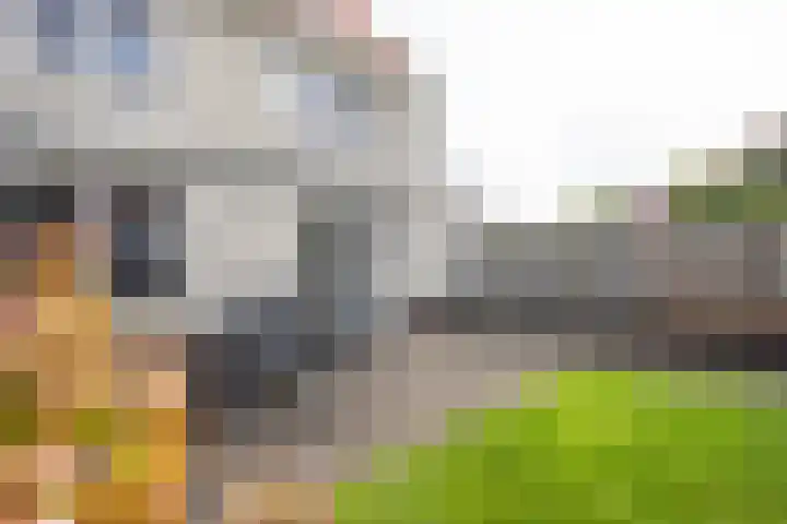 Rozenhof 120 Borne thumbnail 29