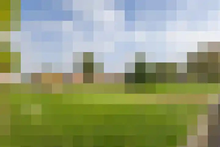 Rozenhof 120 Borne thumbnail 30