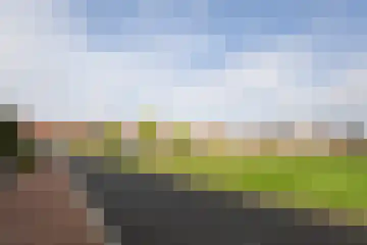 Rozenhof 120 Borne thumbnail 31