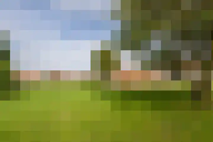 Rozenhof 120 Borne thumbnail 32