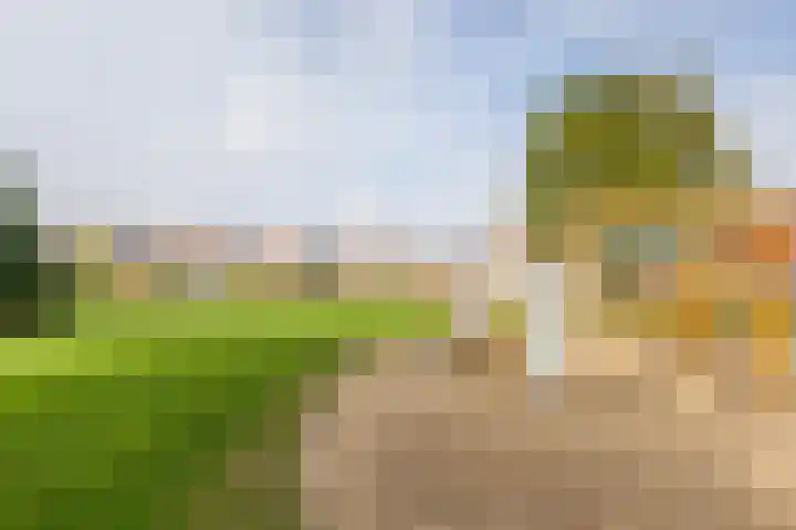 Rozenhof 120 Borne thumbnail 33
