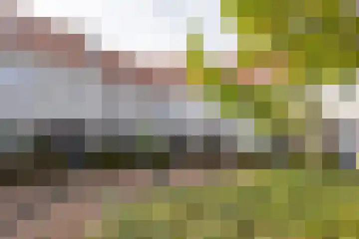 Rozenhof 120 Borne thumbnail 34