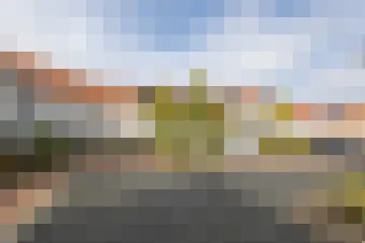 Rozenhof 120 Borne thumbnail 35