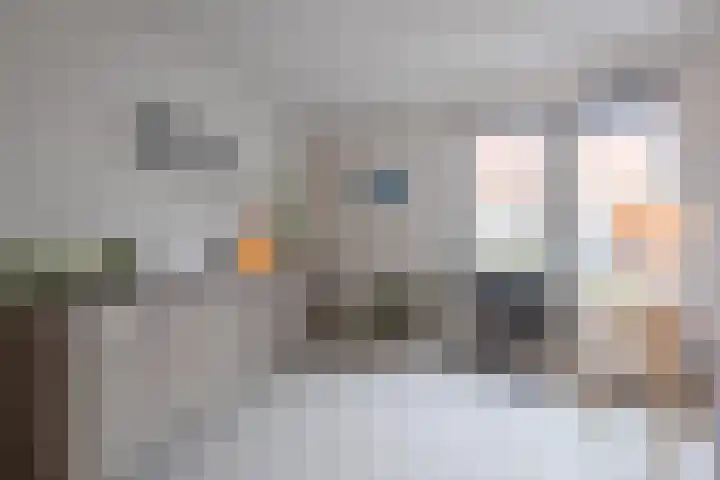 Rozenhof 120 Borne thumbnail 6