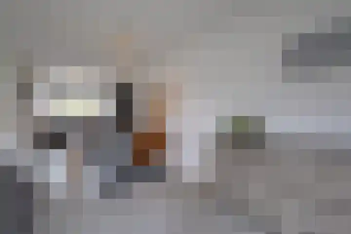 Rozenhof 120 Borne thumbnail 7