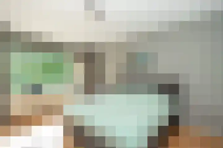 Rozenhof 36 Epe thumbnail 11