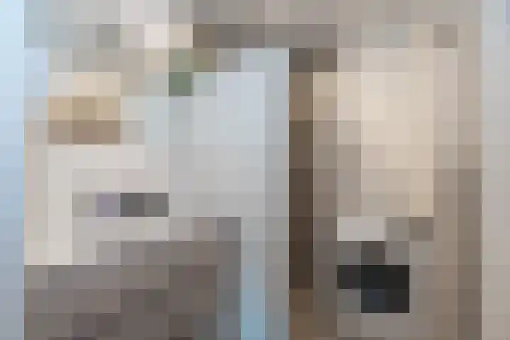 Rozenhof 36 Epe thumbnail 13