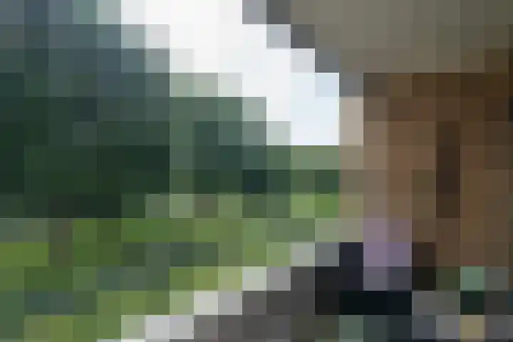 Rozenhof 36 Epe thumbnail 15