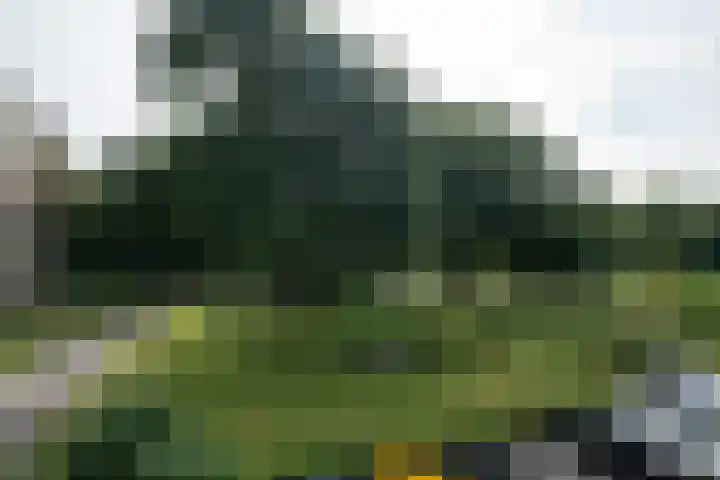 Rozenhof 36 Epe thumbnail 16