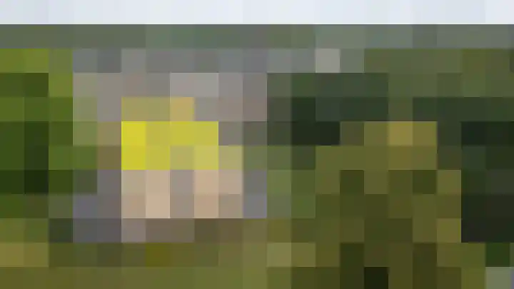 Rozenhof 36 Epe thumbnail 17