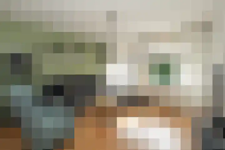 Rozenhof 36 Epe thumbnail 5
