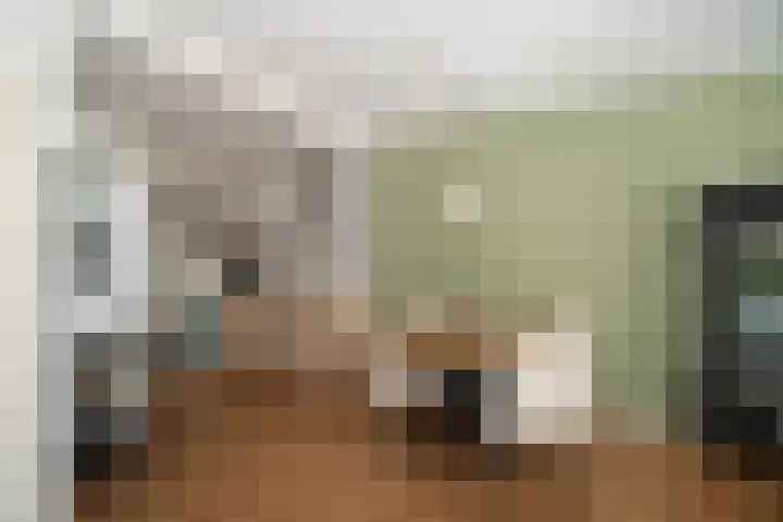 Rozenhof 36 Epe thumbnail 9