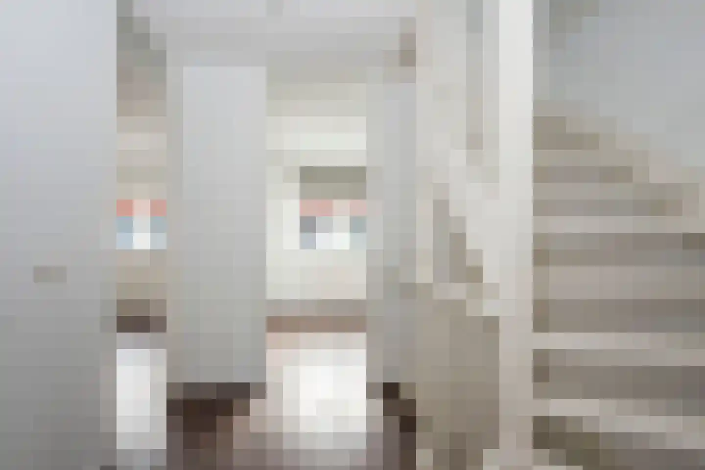 Rozenhof 42 Borne thumbnail 18