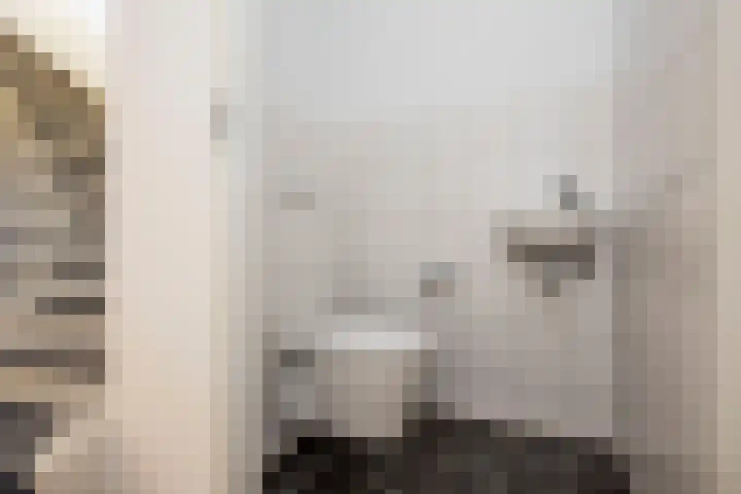 Rozenhof 42 Borne thumbnail 6