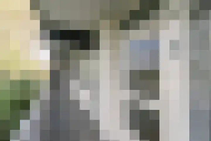 Rozenhof 43 Brunssum thumbnail 4