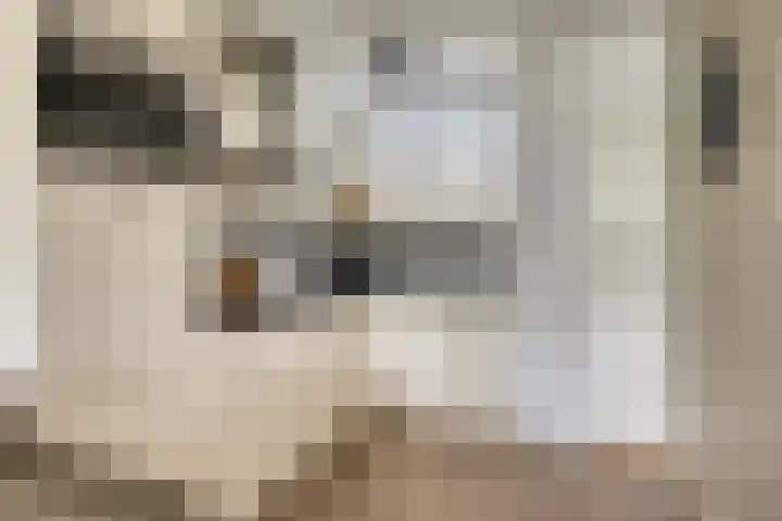 Rozenhof 88 Epe thumbnail 10