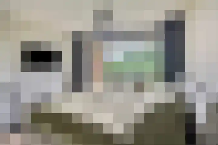 Rozenhof 88 Epe thumbnail 14