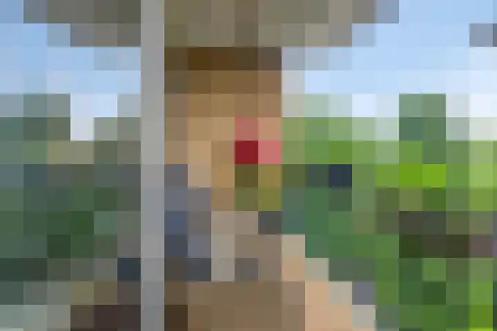 Rozenhof 88 Epe thumbnail 15