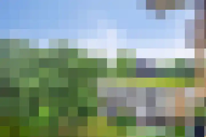 Rozenhof 88 Epe thumbnail 16