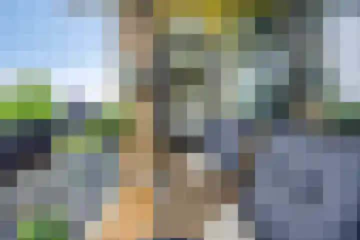 Rozenhof 88 Epe thumbnail 17