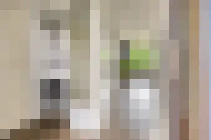 Rozenhof 88 Epe thumbnail 20