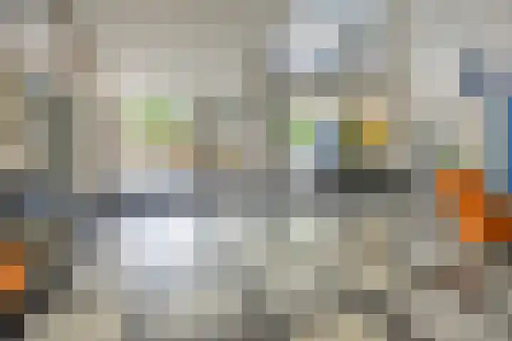 Rozenhof 88 Epe thumbnail 22
