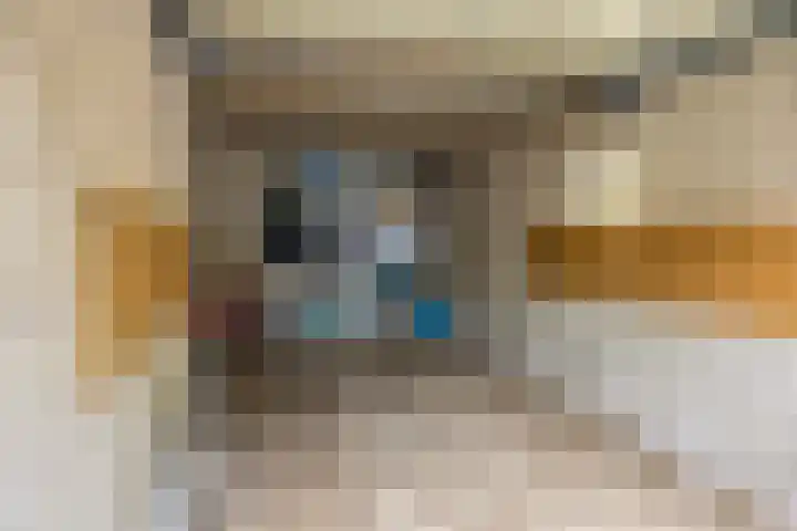 Rozenhof 88 Epe thumbnail 24