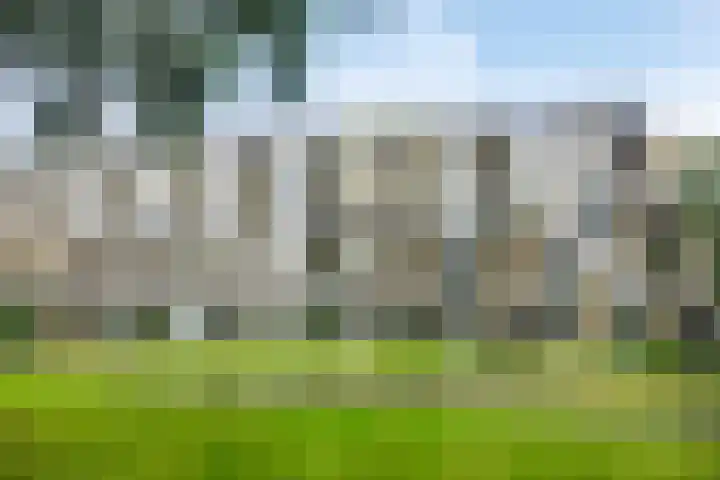Rozenhof 88 Epe thumbnail 25