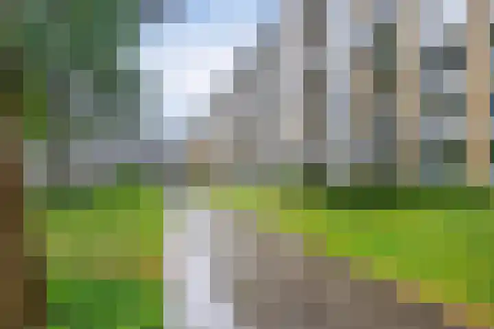 Rozenhof 88 Epe thumbnail 26