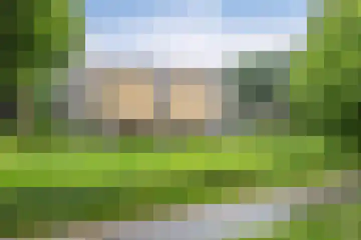 Rozenhof 88 Epe thumbnail 27