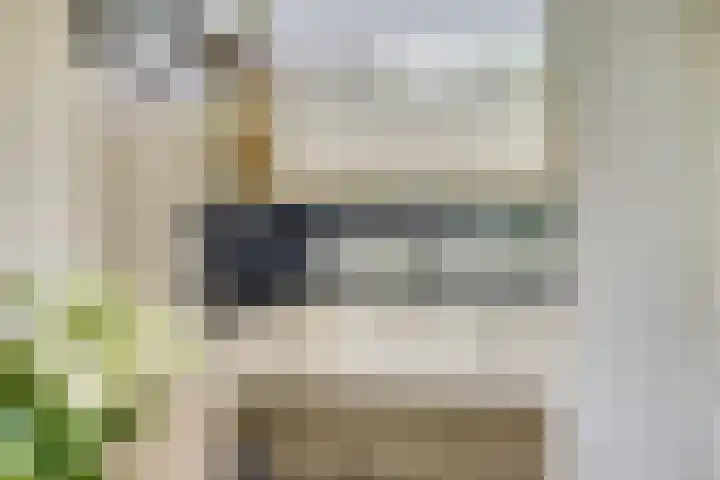 Rozenhof 88 Epe foto 3