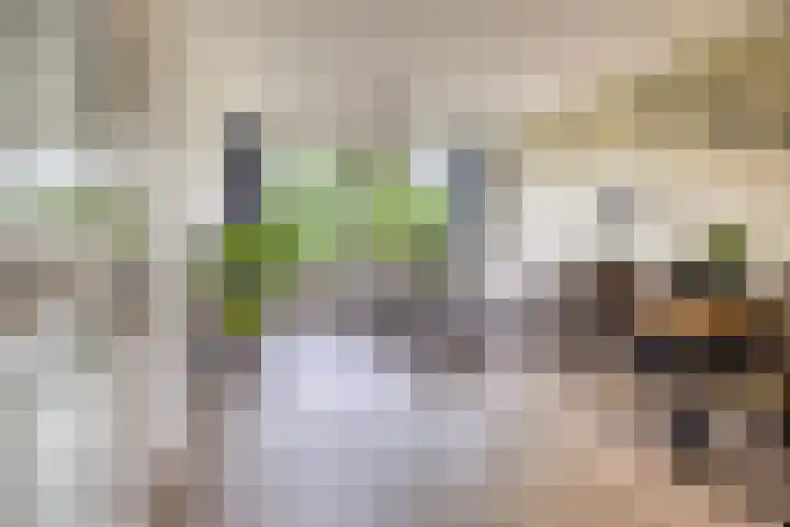 Rozenhof 88 Epe thumbnail 4