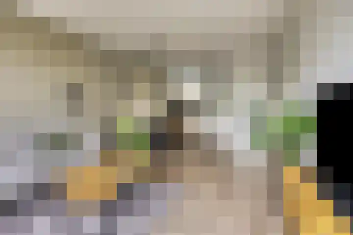 Rozenhof 88 Epe thumbnail 5