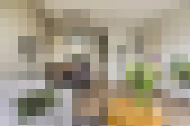 Rozenhof 88 Epe thumbnail 6