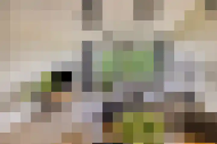 Rozenhof 88 Epe thumbnail 7