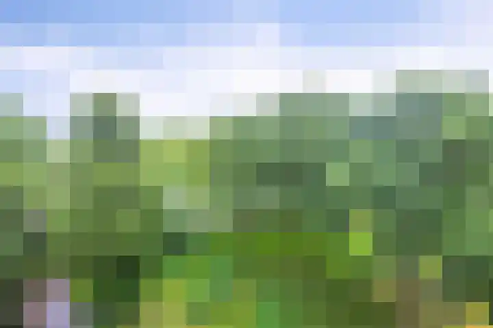 Rozenhof 88 Epe thumbnail 8