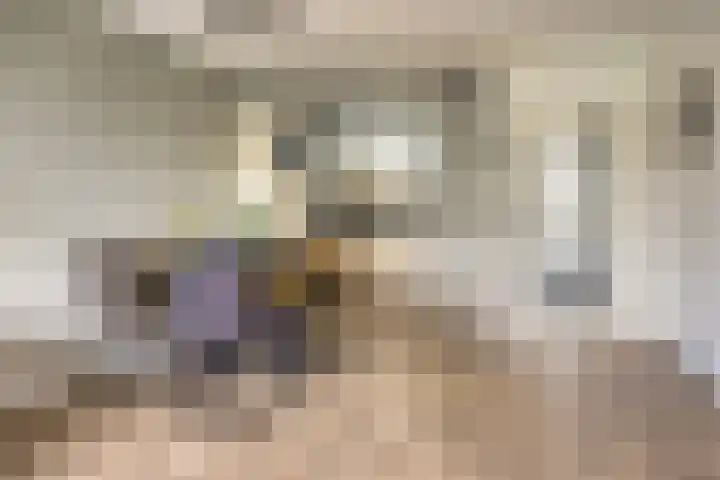 Rozenhof 88 Epe thumbnail 9
