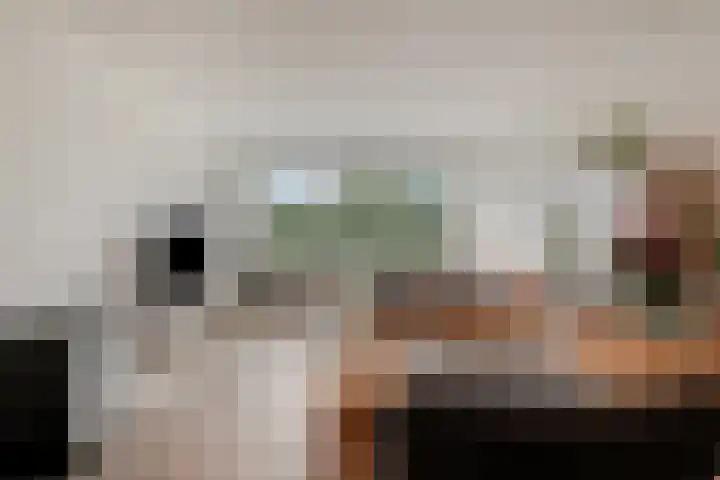 Rozenhof 89 Epe thumbnail 14