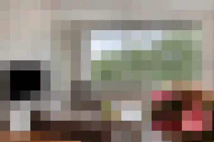 Rozenhof 89 Epe thumbnail 16