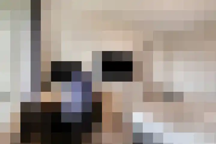 Rozenhof 89 Epe thumbnail 21