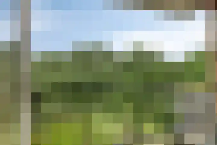 Rozenhof 89 Epe thumbnail 25