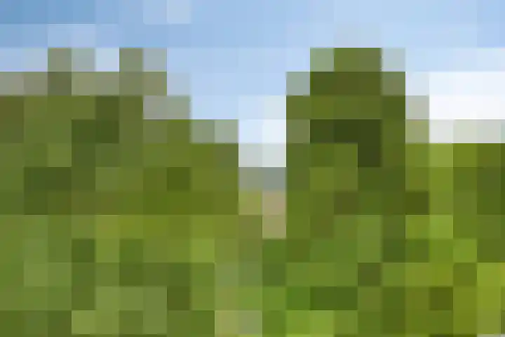 Rozenhof 89 Epe thumbnail 26