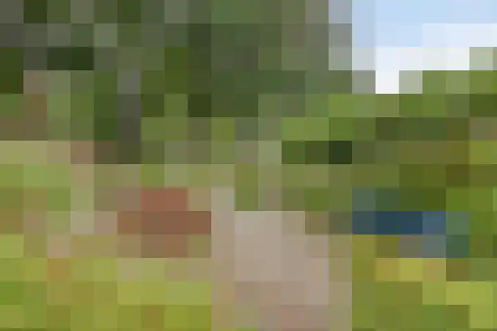 Rozenhof 89 Epe thumbnail 27